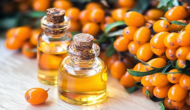 Hắc Mai Biển (Sea Buckthorn) Là Gì? Bí Mật "Vàng Lỏng" Hồi Sinh Làn Da Hư Tổn 1 Quả hắc mai biển Sea Buckthorn chứa nhiều dưỡng chất quý